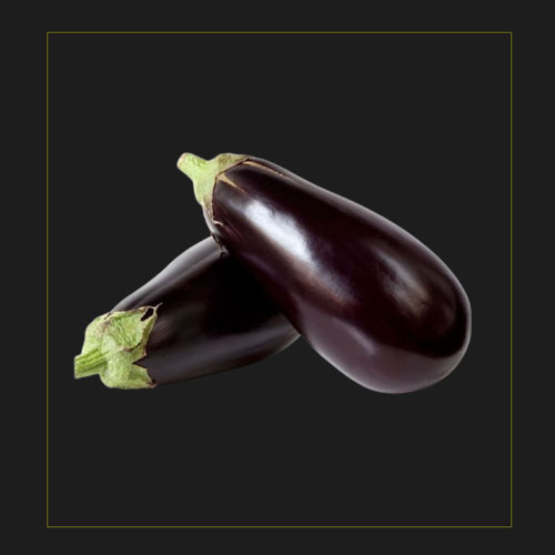 patlican
